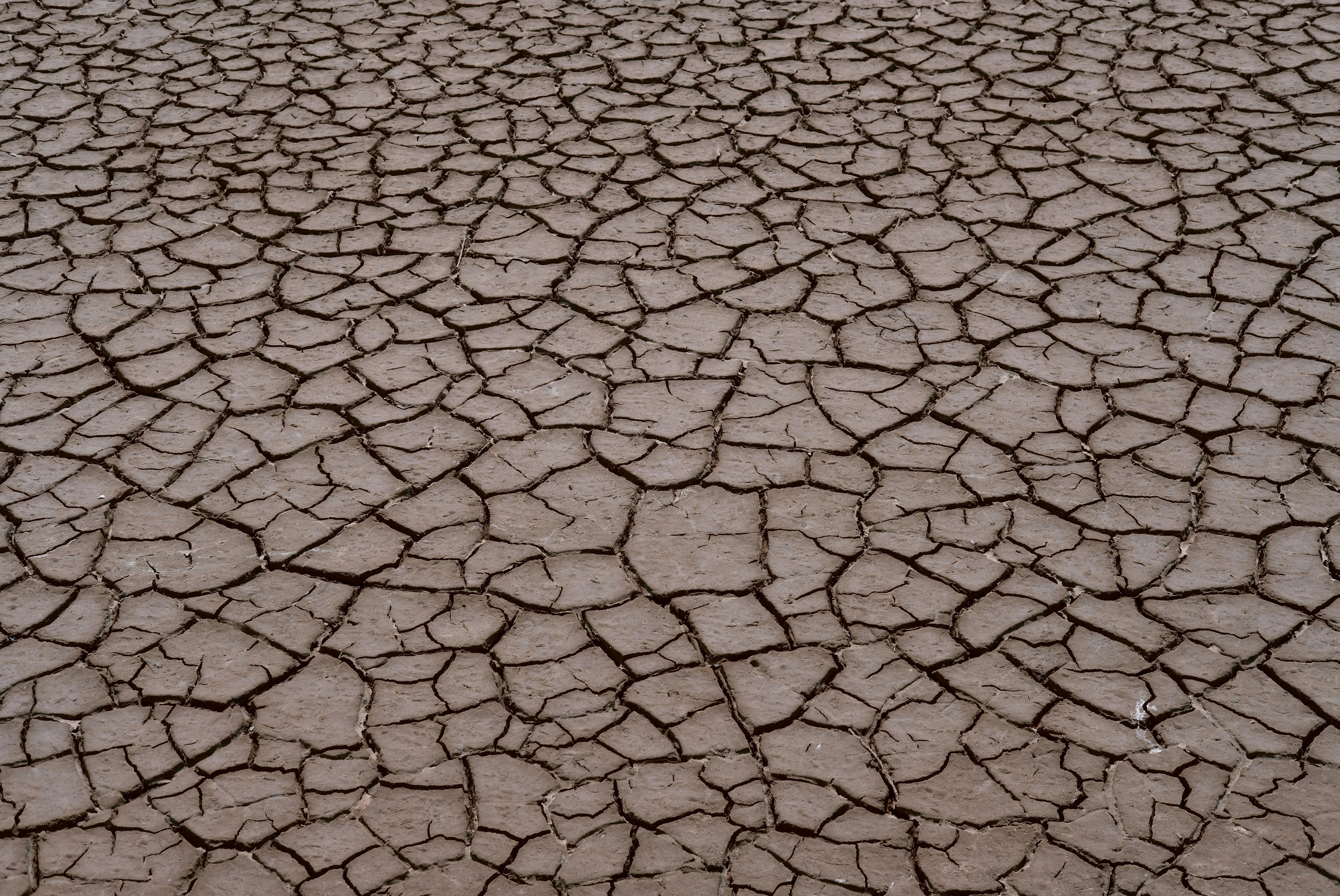 Dry, cracked beigh clay earth